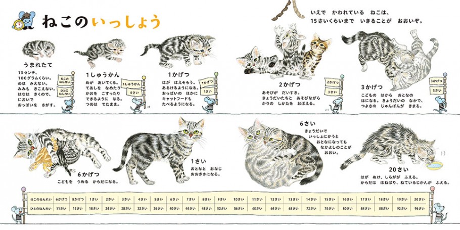 ねこのずかん 白泉社ブックス