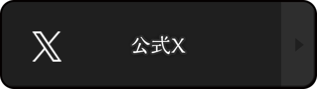 公式X