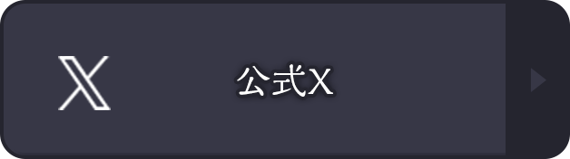 公式X