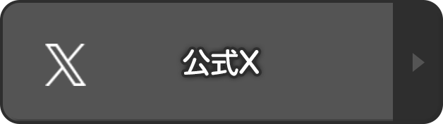 公式X
