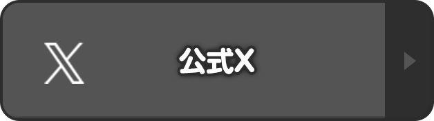 公式X