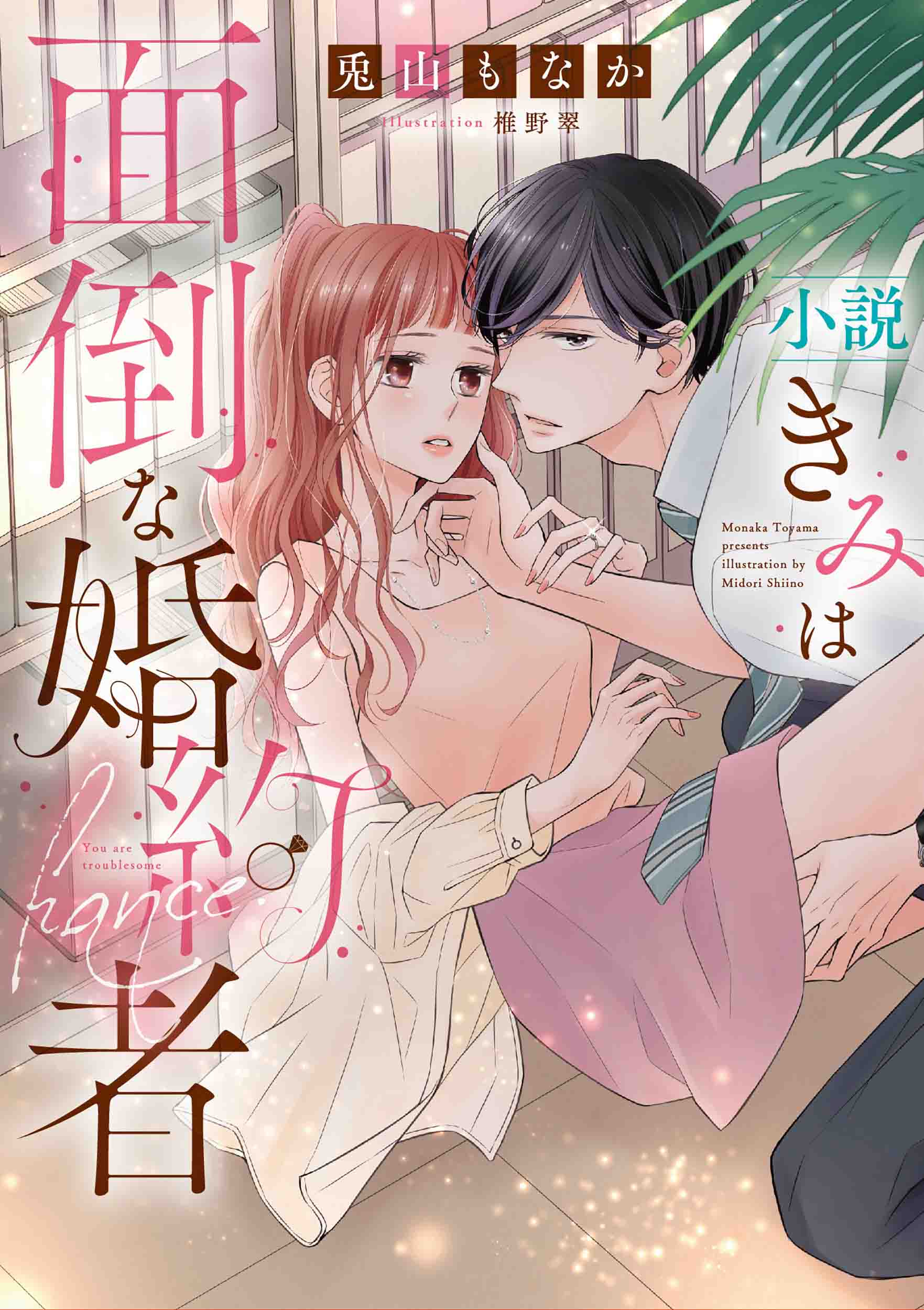 小説 きみは面倒な婚約者 白泉社